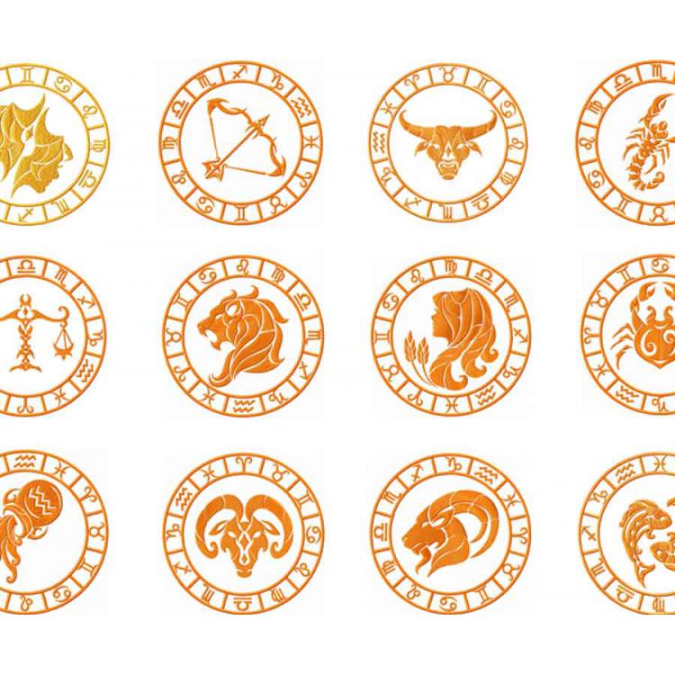 Download Version 12 Floral Zodiac Signs Embroidery Design