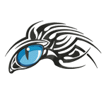 Download design probe, Blue Eye of the Dragon